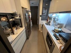 Starlight Suites (D9), Apartment #515875271